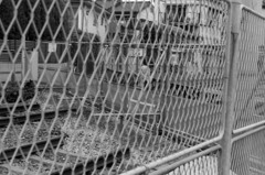 調布 南北をつなぐ歩道