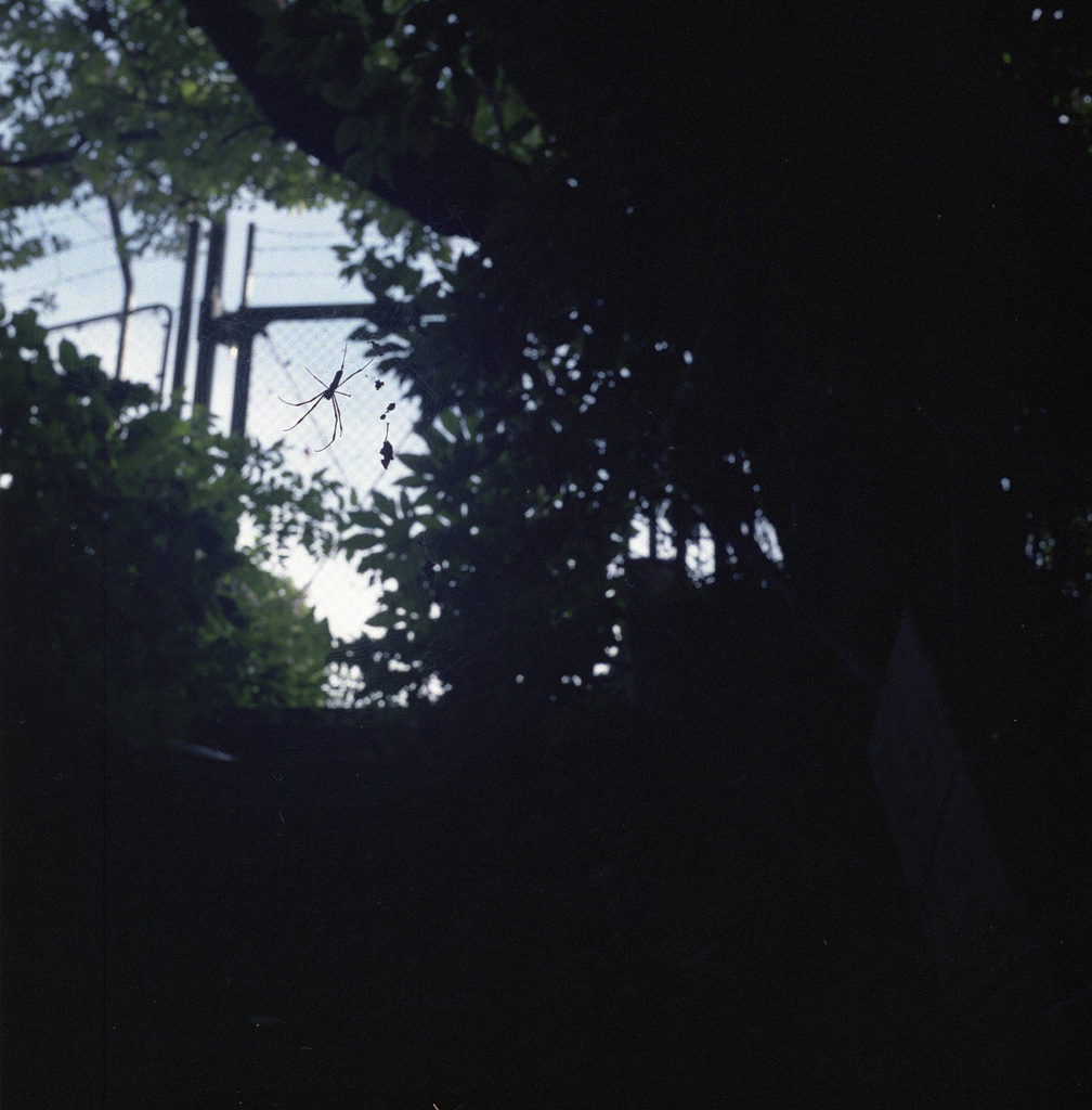 根岸