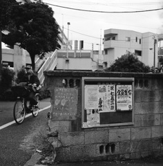 小菅