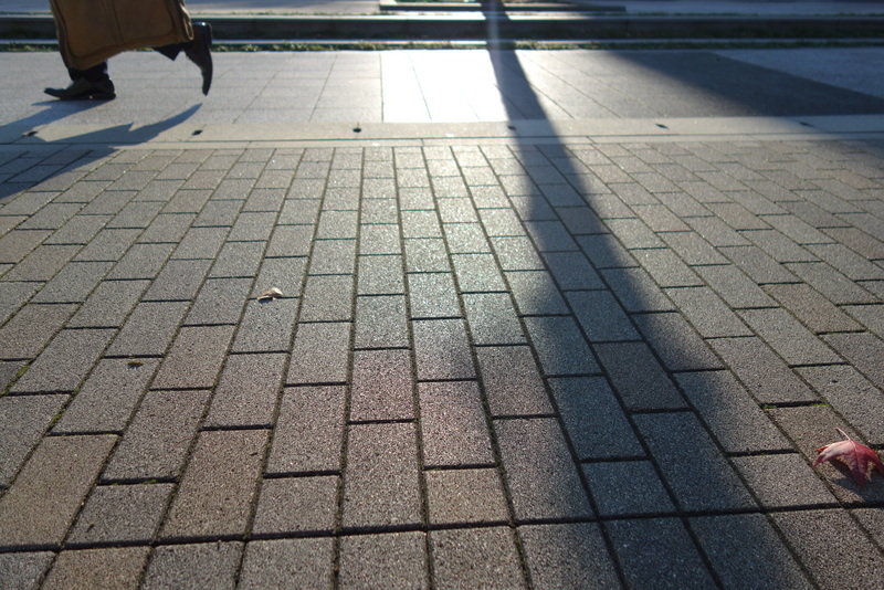 麻生区万福寺の歩道