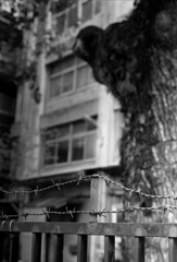 東京の住宅街から #8