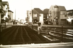 調布 沿線に残る農地