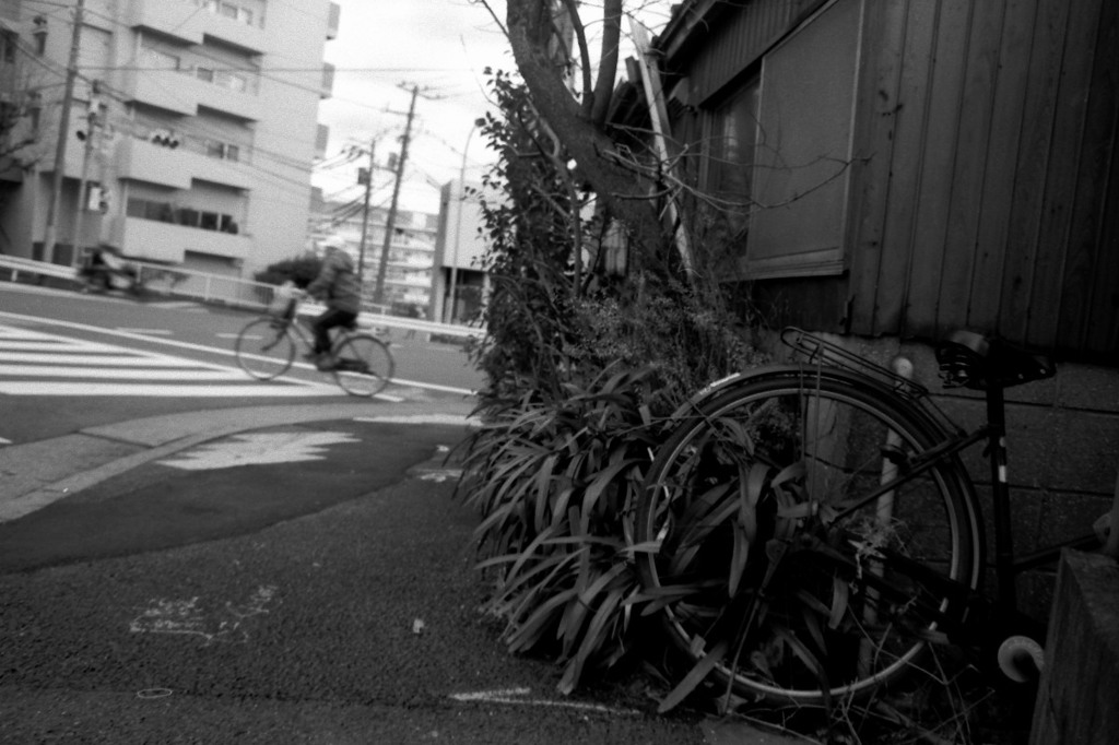 千住桜木町 #1