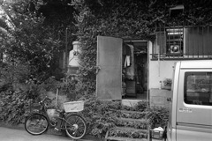 中丸子