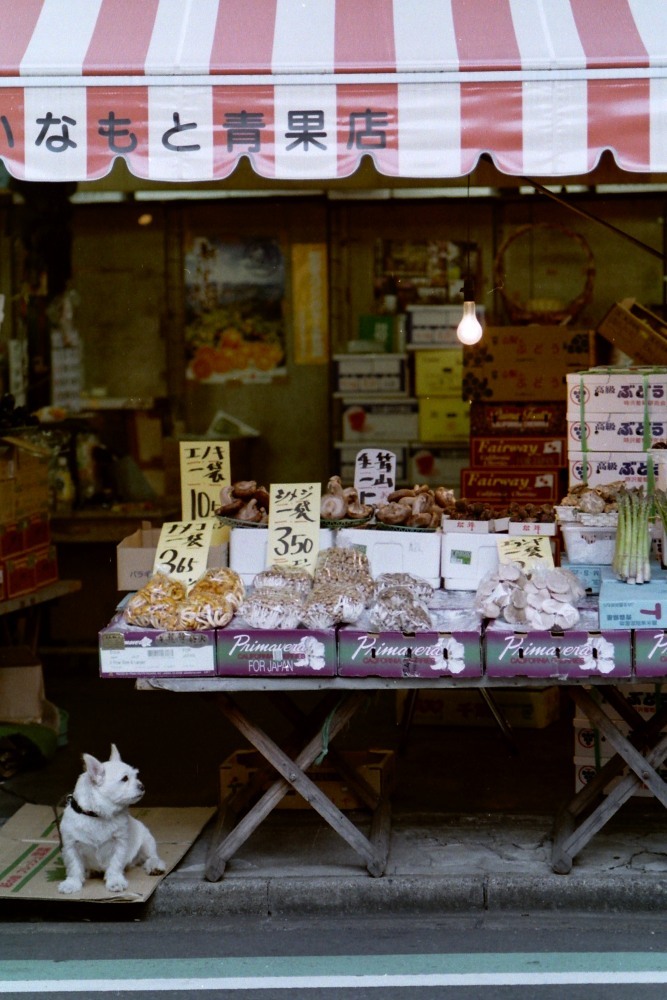 『いなもと青果店』