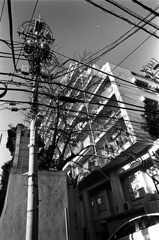 東京の住宅街から #1