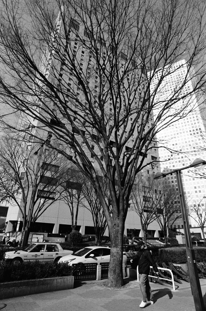西新宿