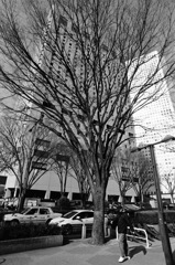 西新宿
