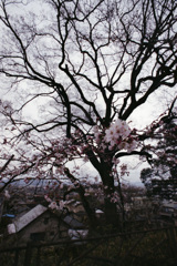 佐野城址