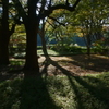 北の丸公園 #1