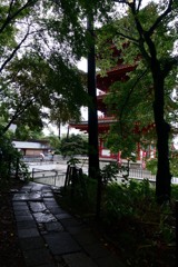 高幡不動