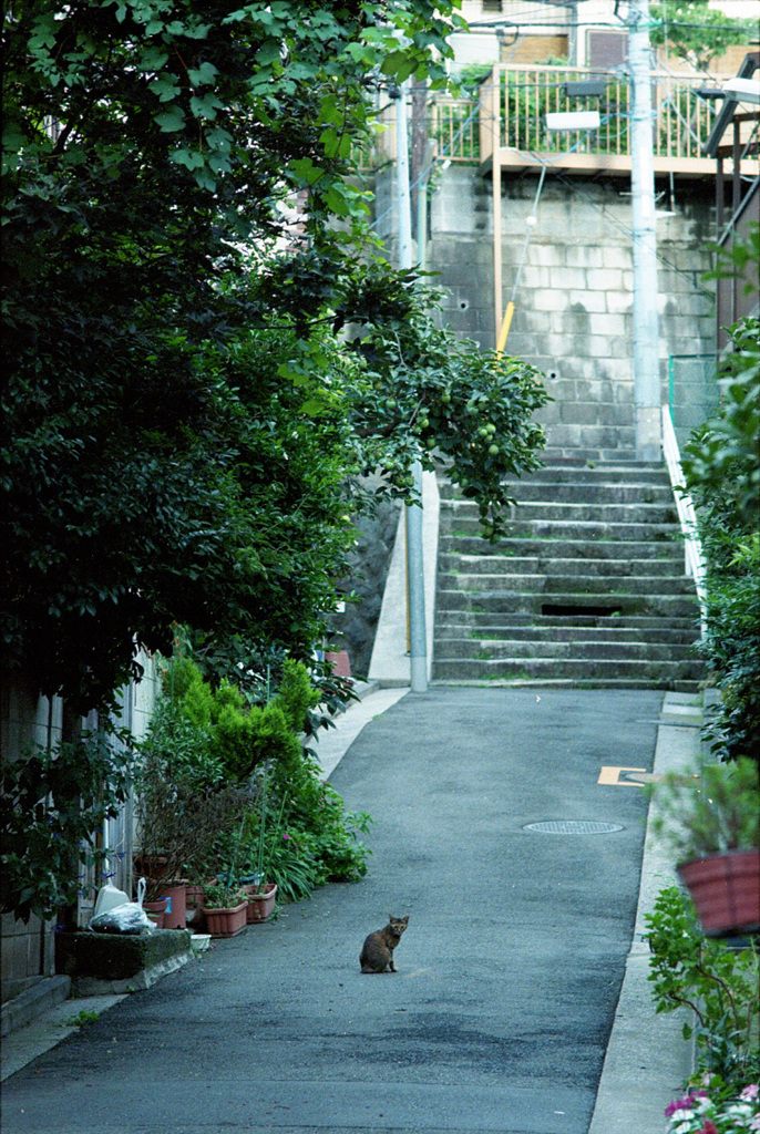 山元町 #1