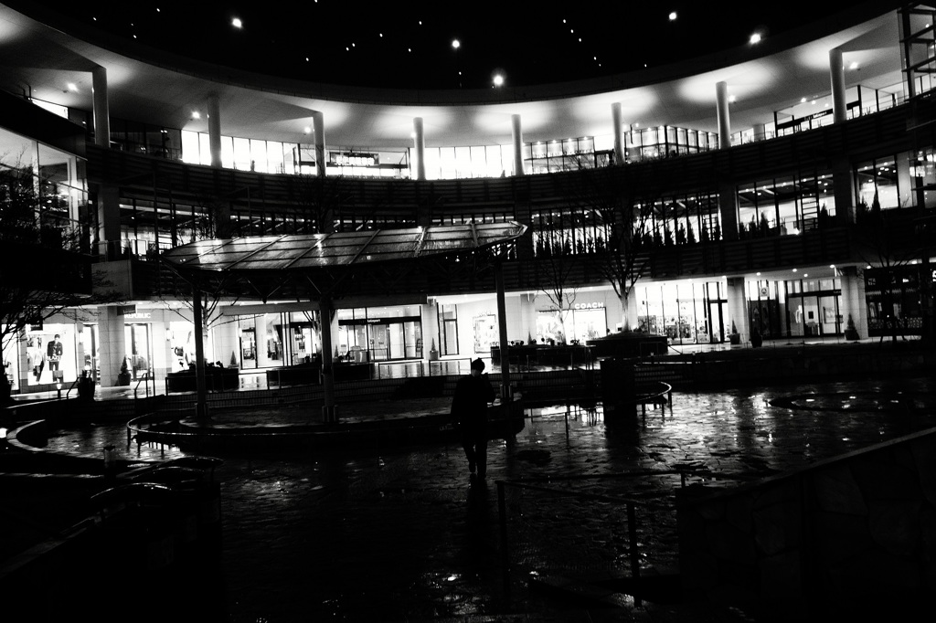 鴨居の商業施設