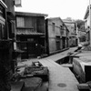 宿根木 #2