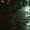 長雨