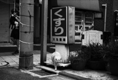 阿佐ヶ谷