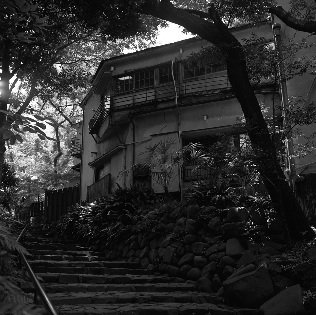 愛宕山界隈 #3