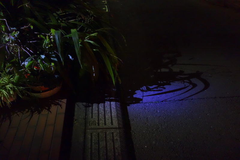 防犯ライトのともる玄関