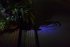 防犯ライトのともる玄関