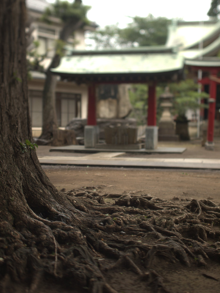 千歳船橋　稲荷森稲荷神社