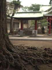 千歳船橋　稲荷森稲荷神社
