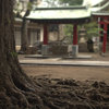 千歳船橋　稲荷森稲荷神社