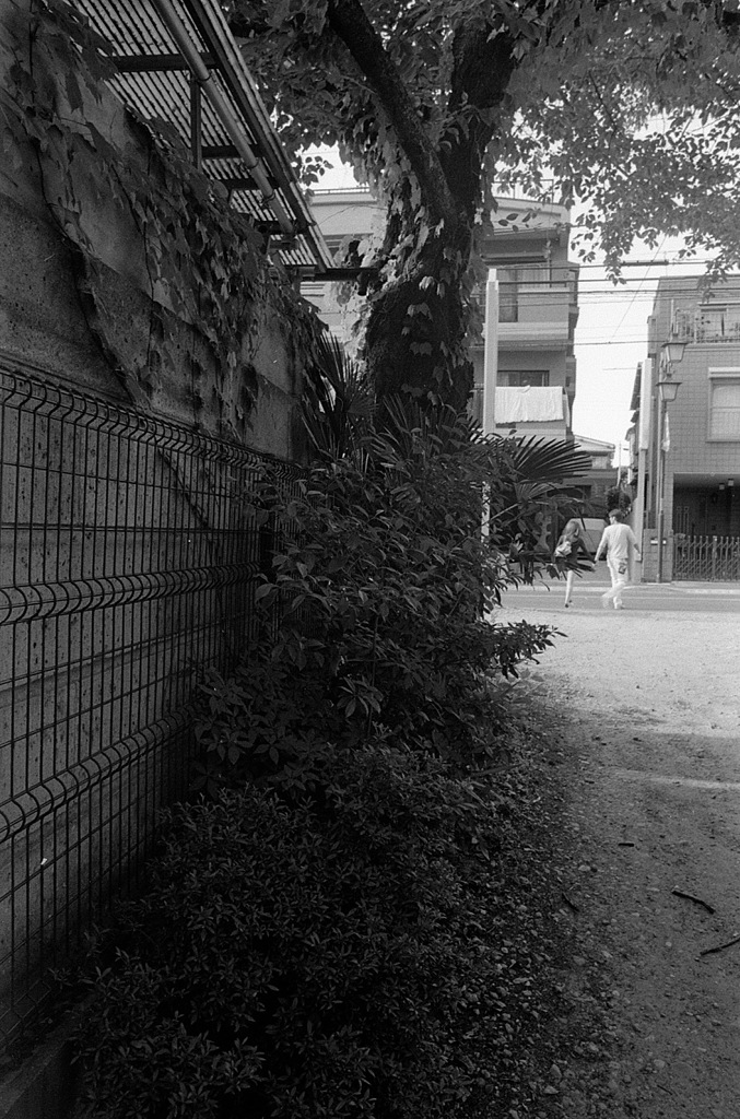分倍河原 #2