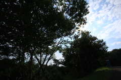 晴天