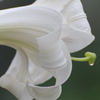 067