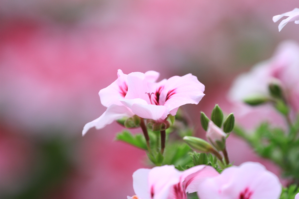 049