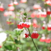 033