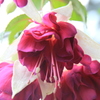 024