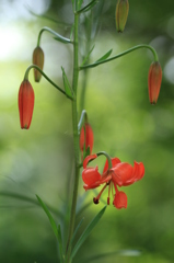 019