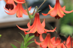 037