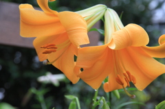 035