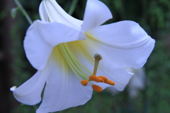 060