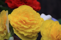 028