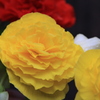 028
