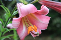 034