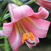 034