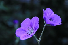 044