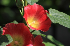 058