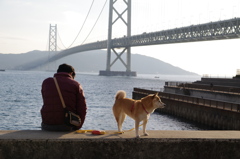 男人と犬