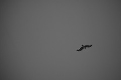 空のむこうへ