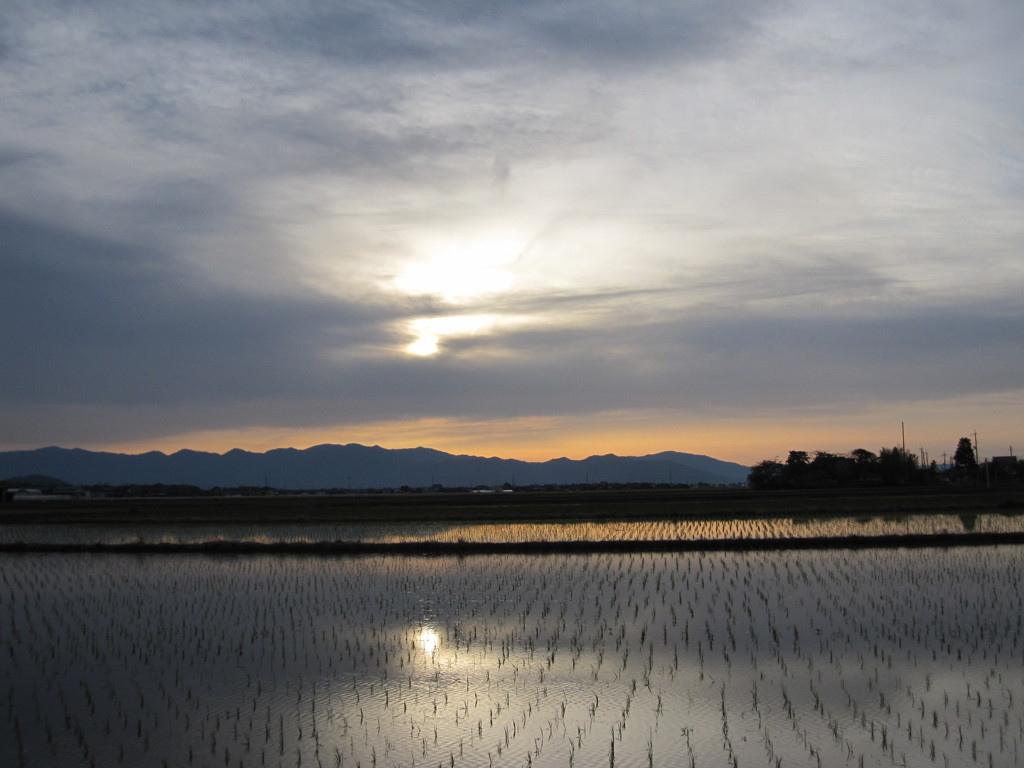 ５月