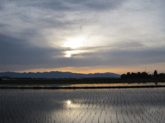 ５月