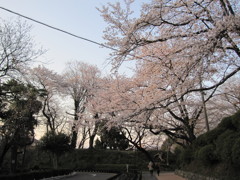 かえりみち２