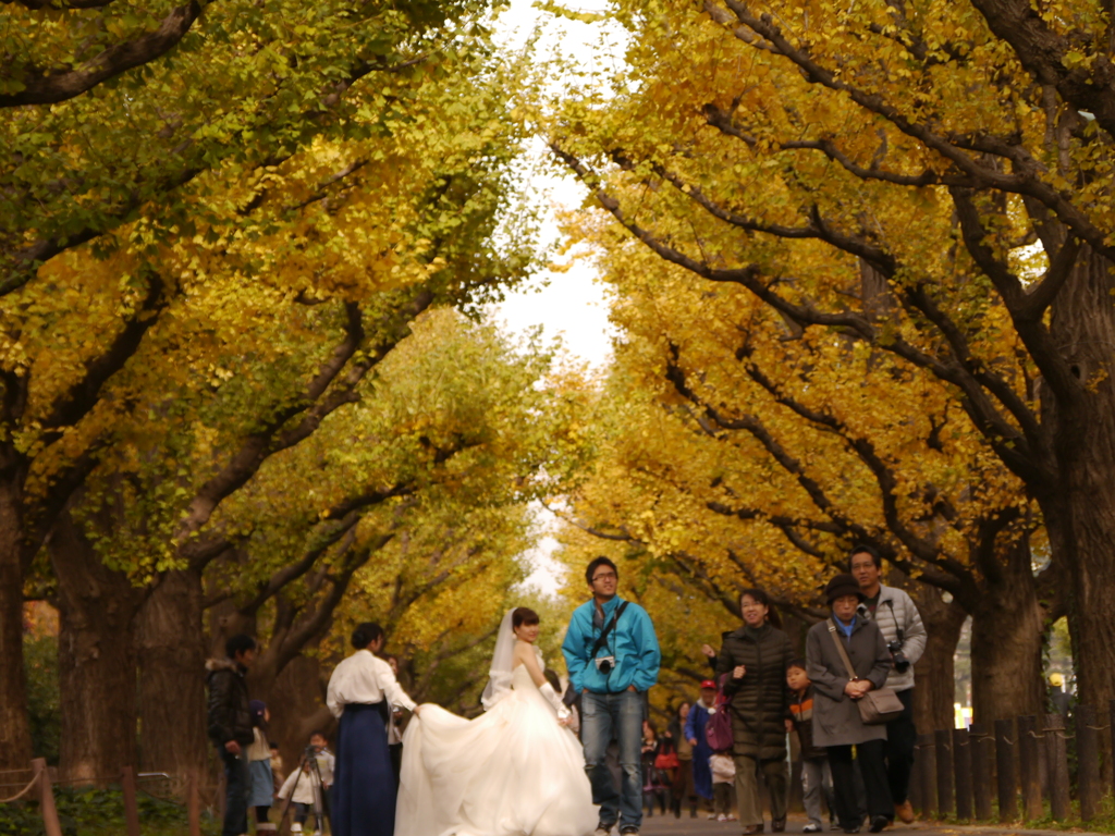 結婚式
