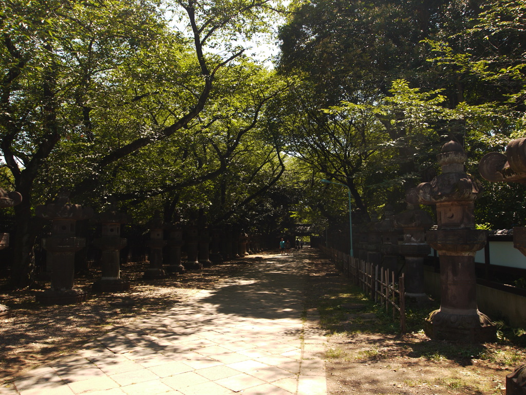 上野東照宮♫