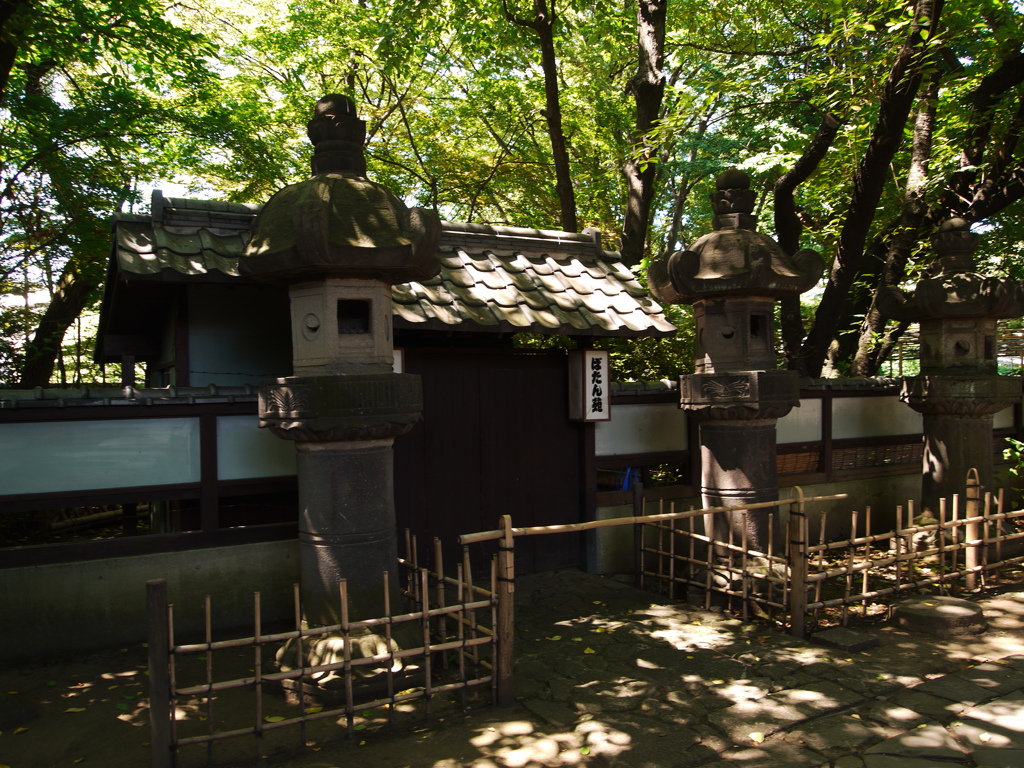 上野東照宮♫牡丹園